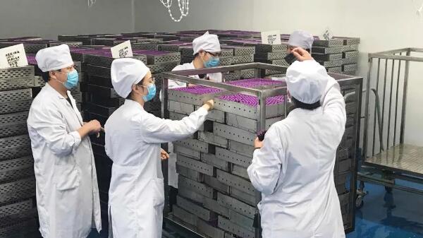 beats365(ÖйúÇø)Ψһ¹Ù·½ÍøÕ¾