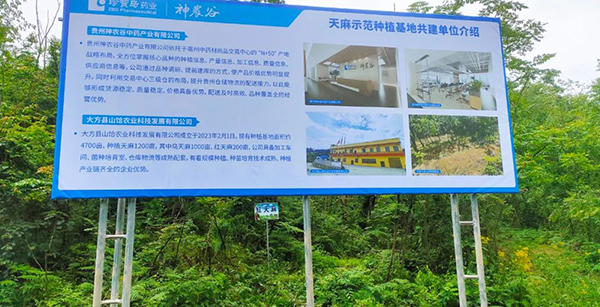 beats365(�й���)Ψһ�ٷ���վ