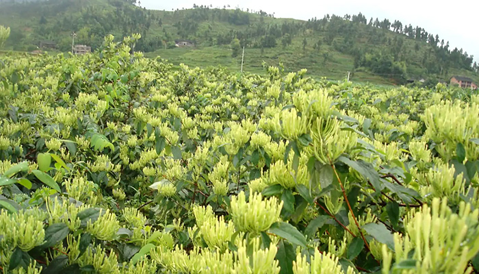 beats365(�й���)Ψһ�ٷ���վ